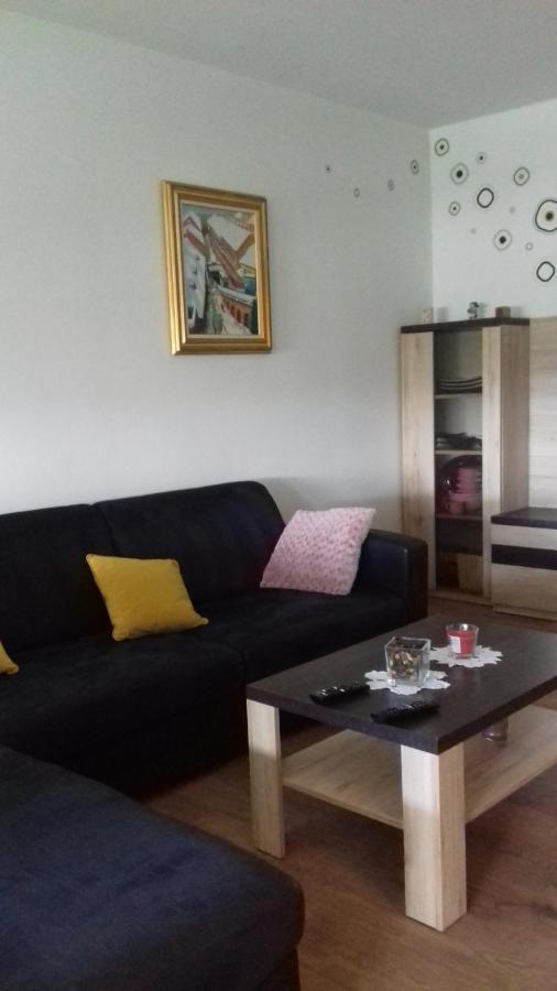 Apartman Lana ,Froudeova ulica 3 Appartamento Zagabria Esterno foto